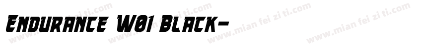 Endurance W01 Black字体转换